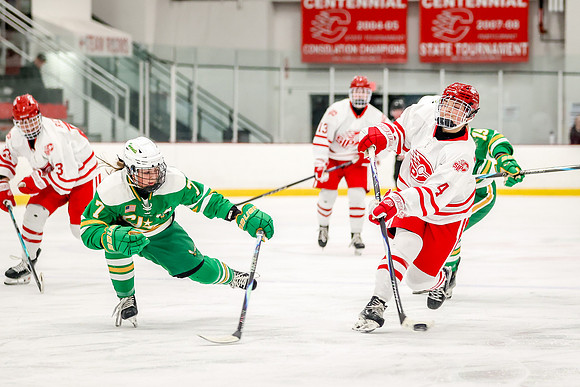 0204 Centennial vs Edina Varsity Hockey