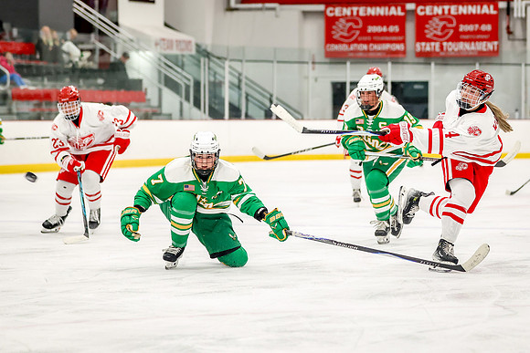 0205 Centennial vs Edina Varsity Hockey
