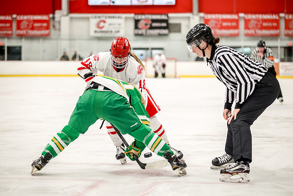 0214 Centennial vs Edina Varsity Hockey
