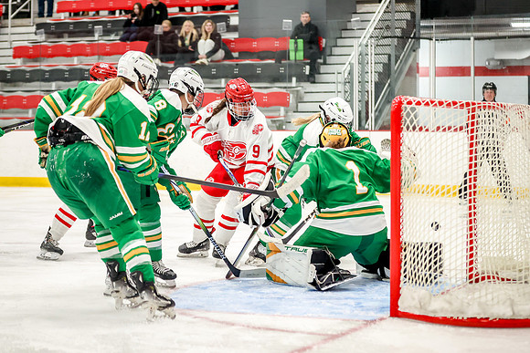 0263 Centennial vs Edina Varsity Hockey
