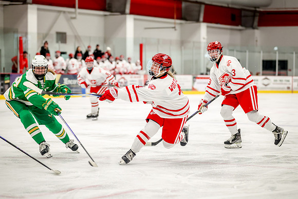 0291 Centennial vs Edina Varsity Hockey