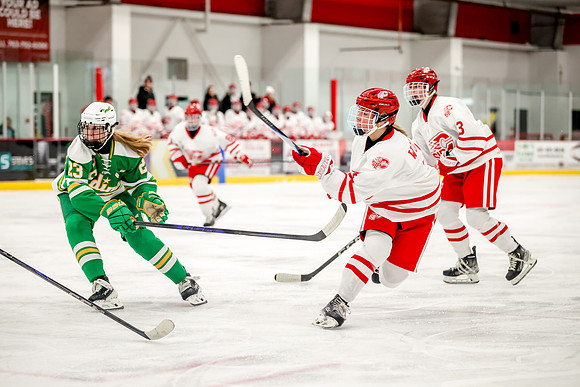 0292 Centennial vs Edina Varsity Hockey