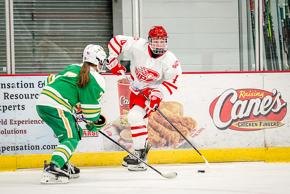 0302 Centennial vs Edina Varsity Hockey