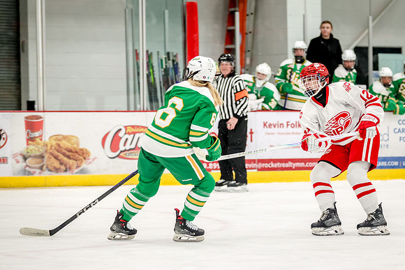 0315 Centennial vs Edina Varsity Hockey