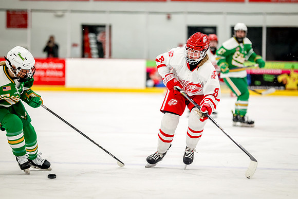 0317 Centennial vs Edina Varsity Hockey