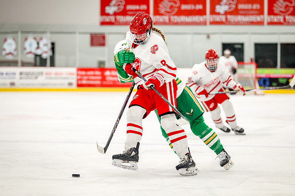 0319 Centennial vs Edina Varsity Hockey
