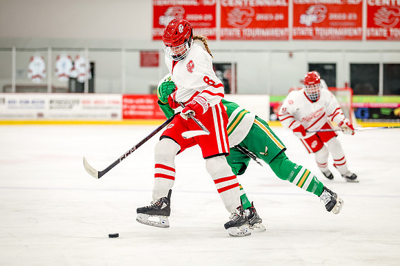 0320 Centennial vs Edina Varsity Hockey