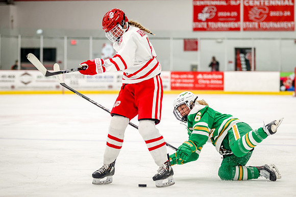 0323 Centennial vs Edina Varsity Hockey
