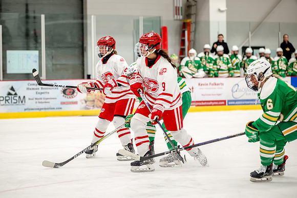 0329 Centennial vs Edina Varsity Hockey
