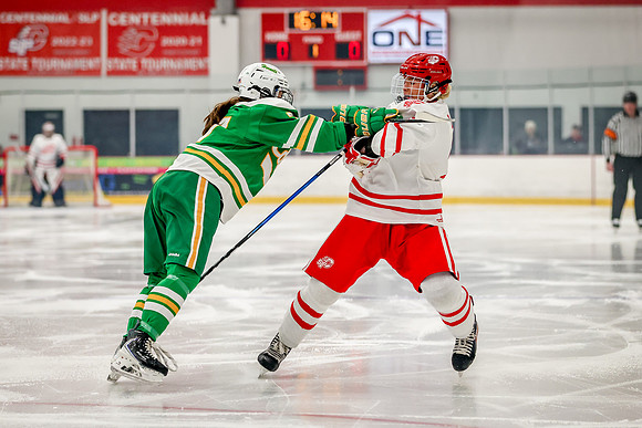 0012 Centennial vs Edina Varsity Hockey