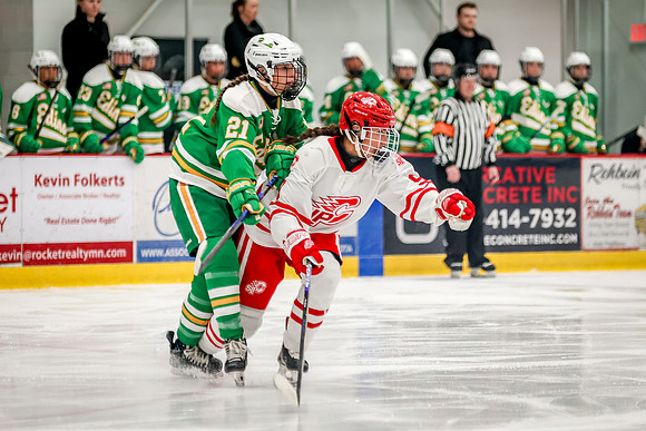 0014 Centennial vs Edina Varsity Hockey