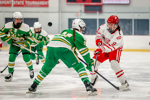 0017 Centennial vs Edina Varsity Hockey