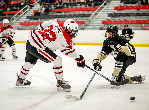 0314 Centennial vs Andover JV Hockey