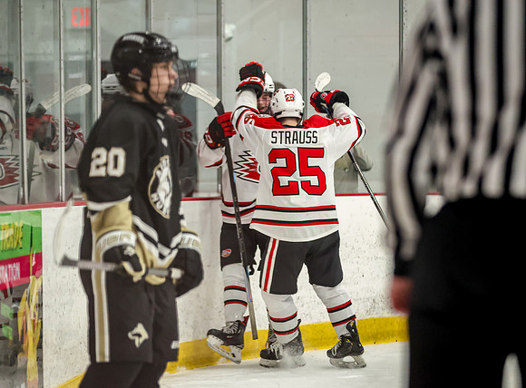 1006 Centennial vs Andover JV Hockey