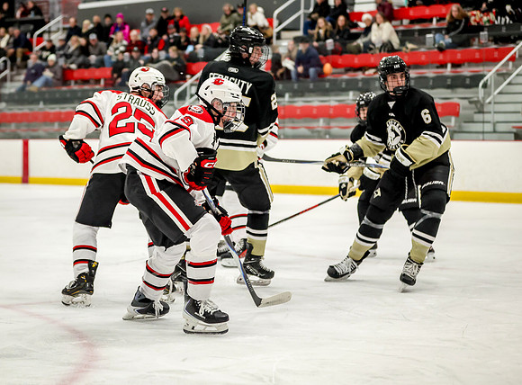 1335 Centennial vs Andover JV Hockey