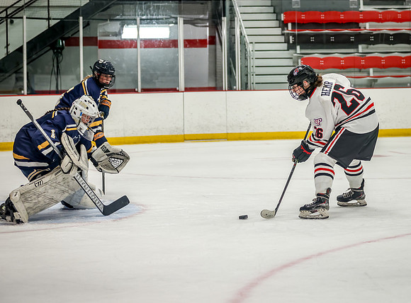 Centennial vs Rosemount JV Hockey 86