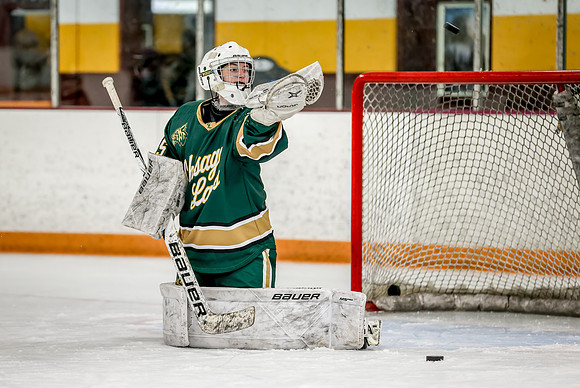Chisago vs Forest Lake Varsity Hockey 16