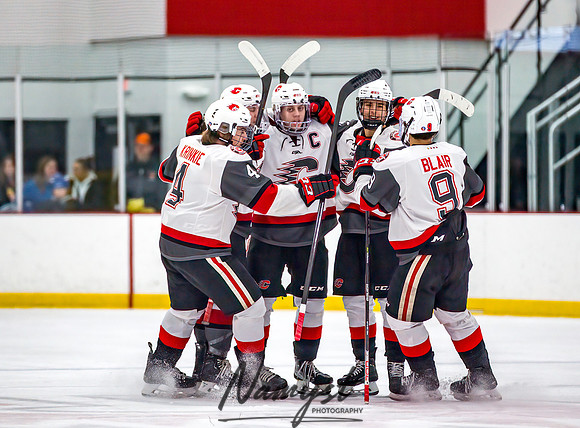 Centennial vs White Bear Lake Varsity Hockey 74