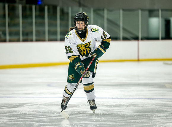 Chisago vs Rogers Varsity Hockey 350