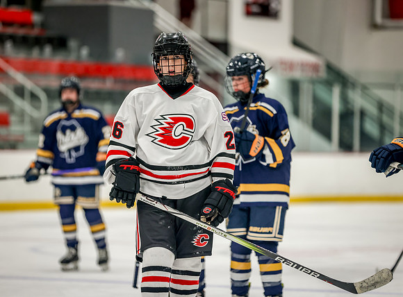 Centennial vs Rosemount JV Hockey 93