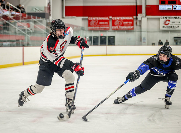 1021 Centennial AA Bantam