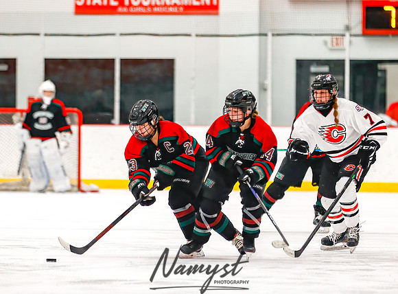 Centennial vs MVI Girls Varsity Hockey 100