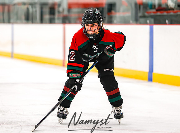Centennial vs MVI Girls Varsity Hockey 103