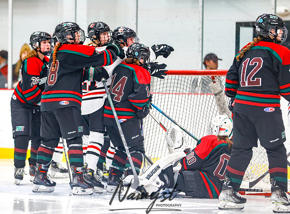 Centennial vs MVI Girls Varsity Hockey 115