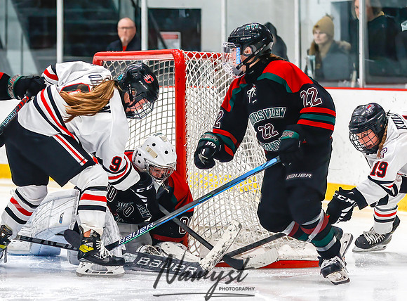 Centennial vs MVI Girls Varsity Hockey 119