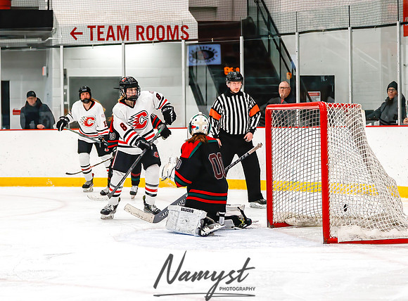 Centennial vs MVI Girls Varsity Hockey 133