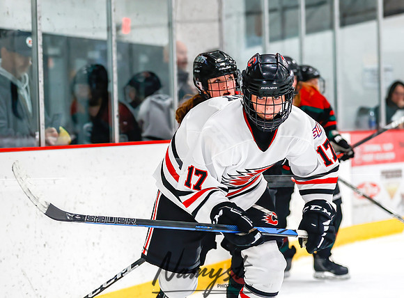 Centennial vs MVI Girls Varsity Hockey 155