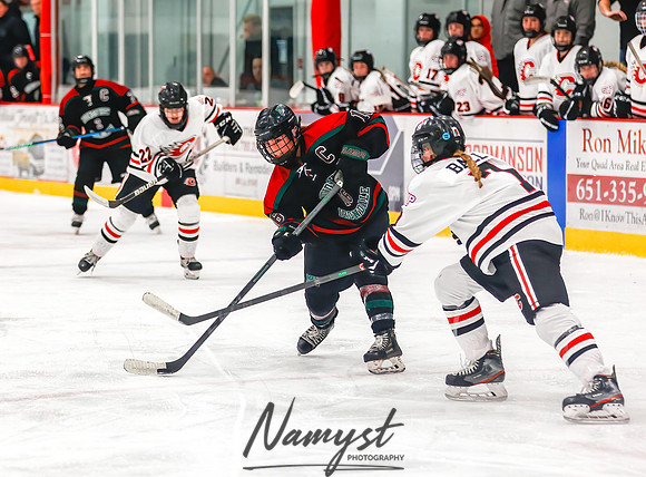 Centennial vs MVI Girls Varsity Hockey 173