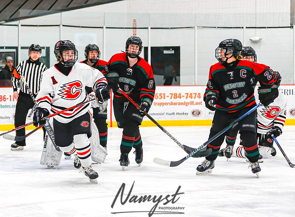 Centennial vs MVI Girls Varsity Hockey 19