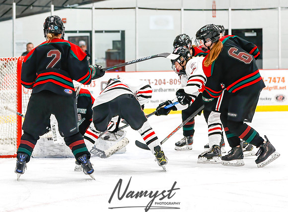 Centennial vs MVI Girls Varsity Hockey 33