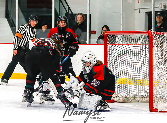 Centennial vs MVI Girls Varsity Hockey 41