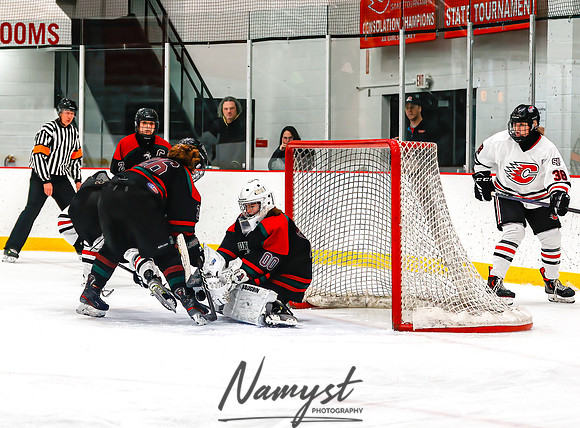 Centennial vs MVI Girls Varsity Hockey 40