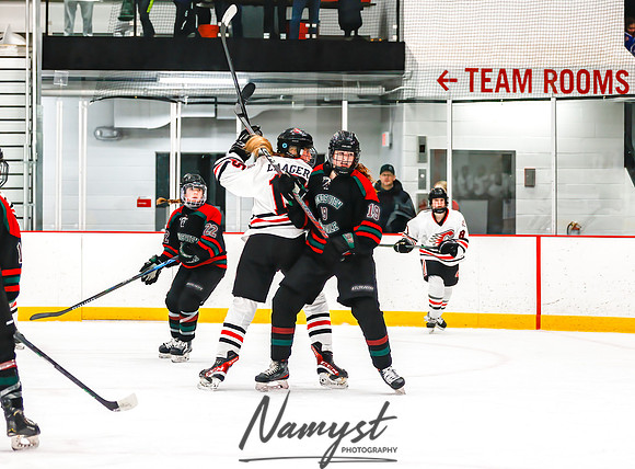 Centennial vs MVI Girls Varsity Hockey 67