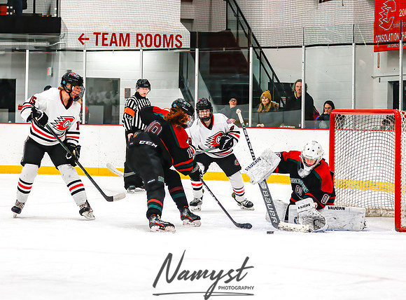 Centennial vs MVI Girls Varsity Hockey 69