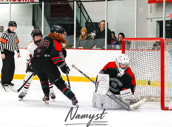 Centennial vs MVI Girls Varsity Hockey 71