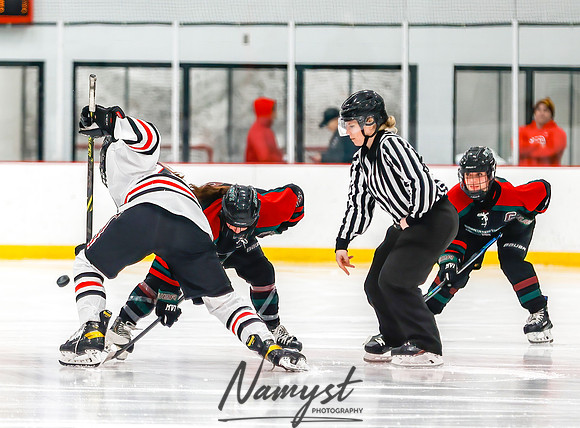 Centennial vs MVI Girls Varsity Hockey 80