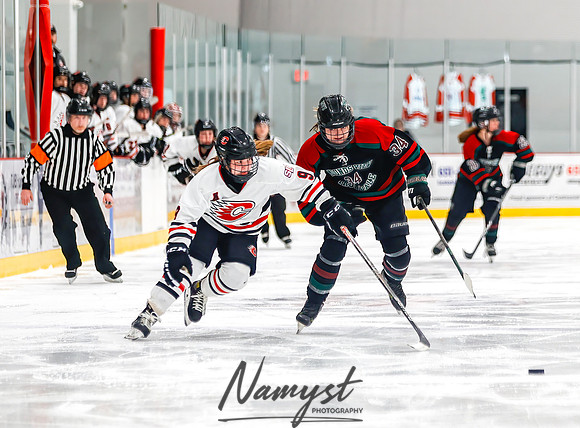 Centennial vs MVI Girls Varsity Hockey 87