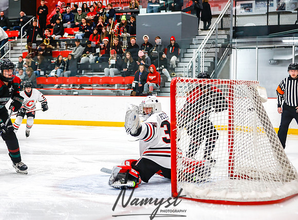 Centennial vs MVI Girls Varsity Hockey 91