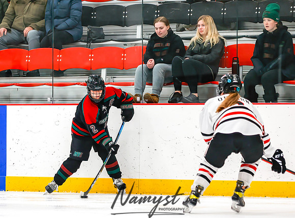 Centennial vs MVI Girls Varsity Hockey 94