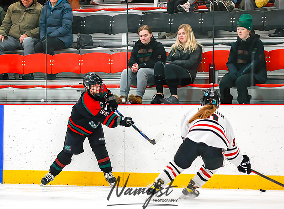 Centennial vs MVI Girls Varsity Hockey 95
