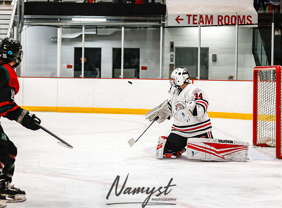 Centennial vs MVI Girls Varsity Hockey 99
