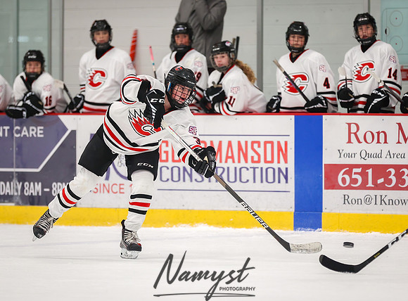 Centennial vs Rogers JV Hockey 101