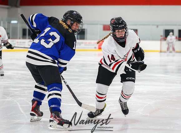 Centennial vs Rogers JV Hockey 130