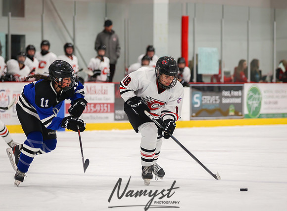 Centennial vs Rogers JV Hockey 40