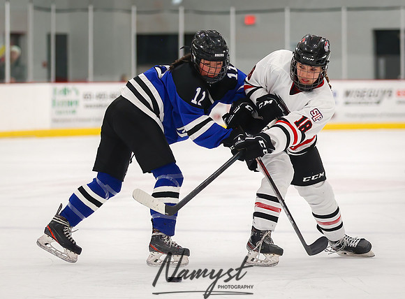 Centennial vs Rogers JV Hockey 43