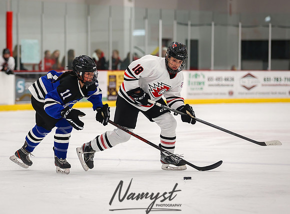 Centennial vs Rogers JV Hockey 41